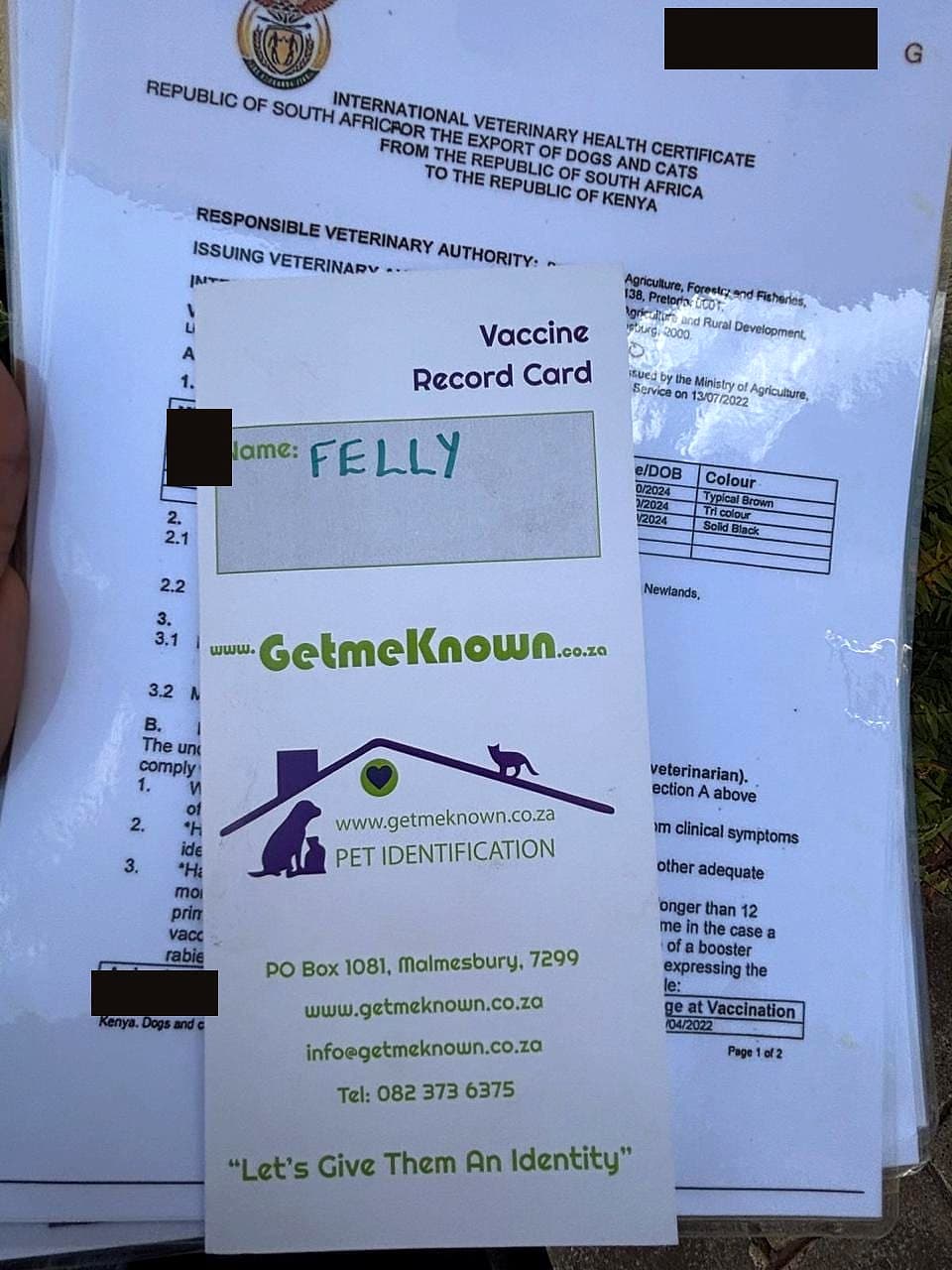 Felly Atlas — Felly Atlas's vaccine record card
