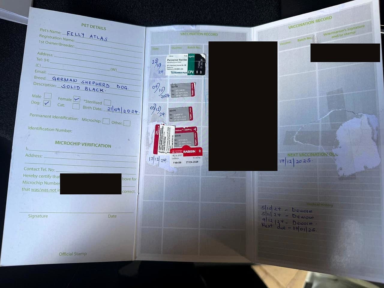 Felly Atlas — Vaccination record — rabies and DHPPi entries