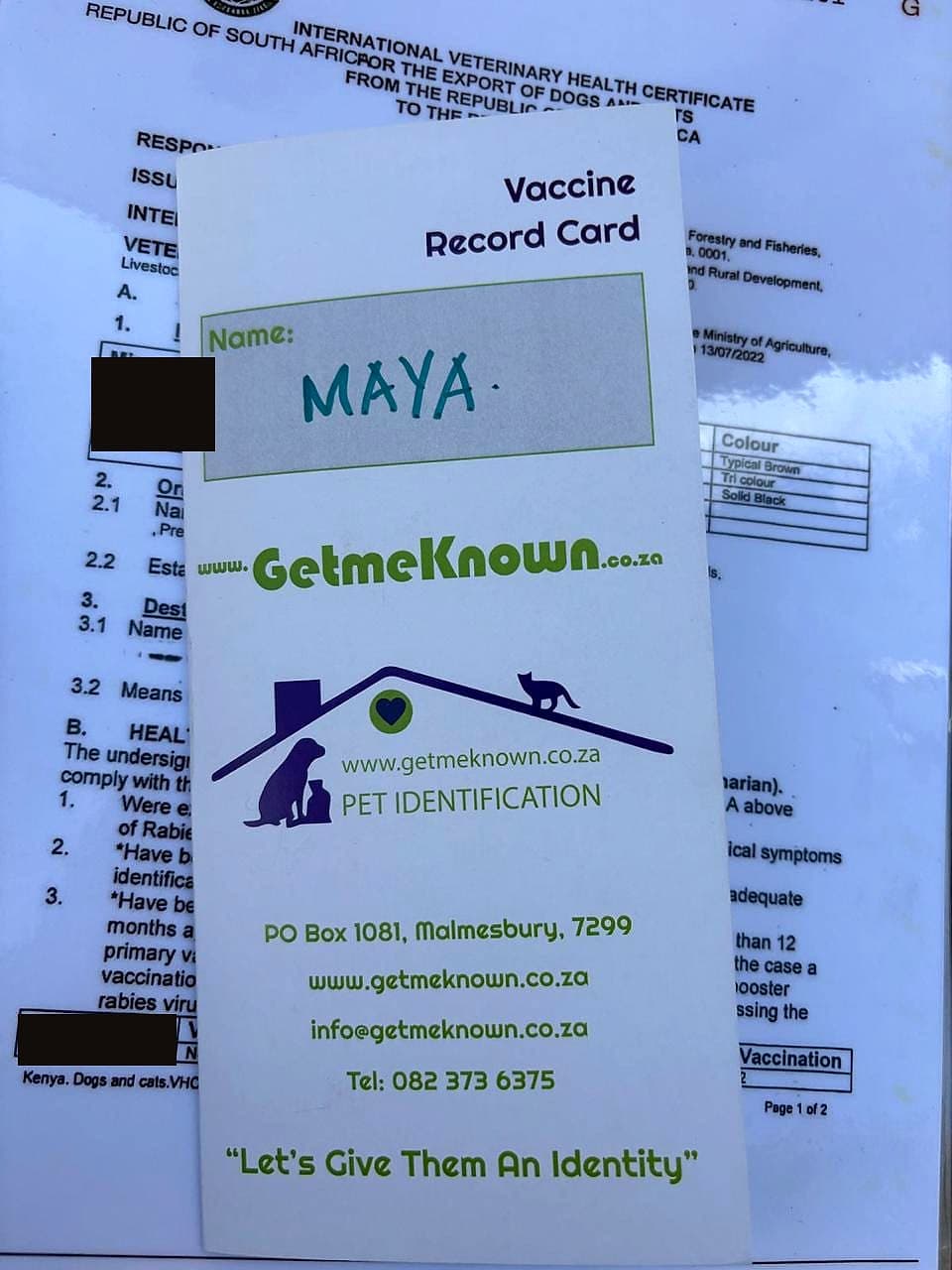 Maya — Maya's vaccine record card