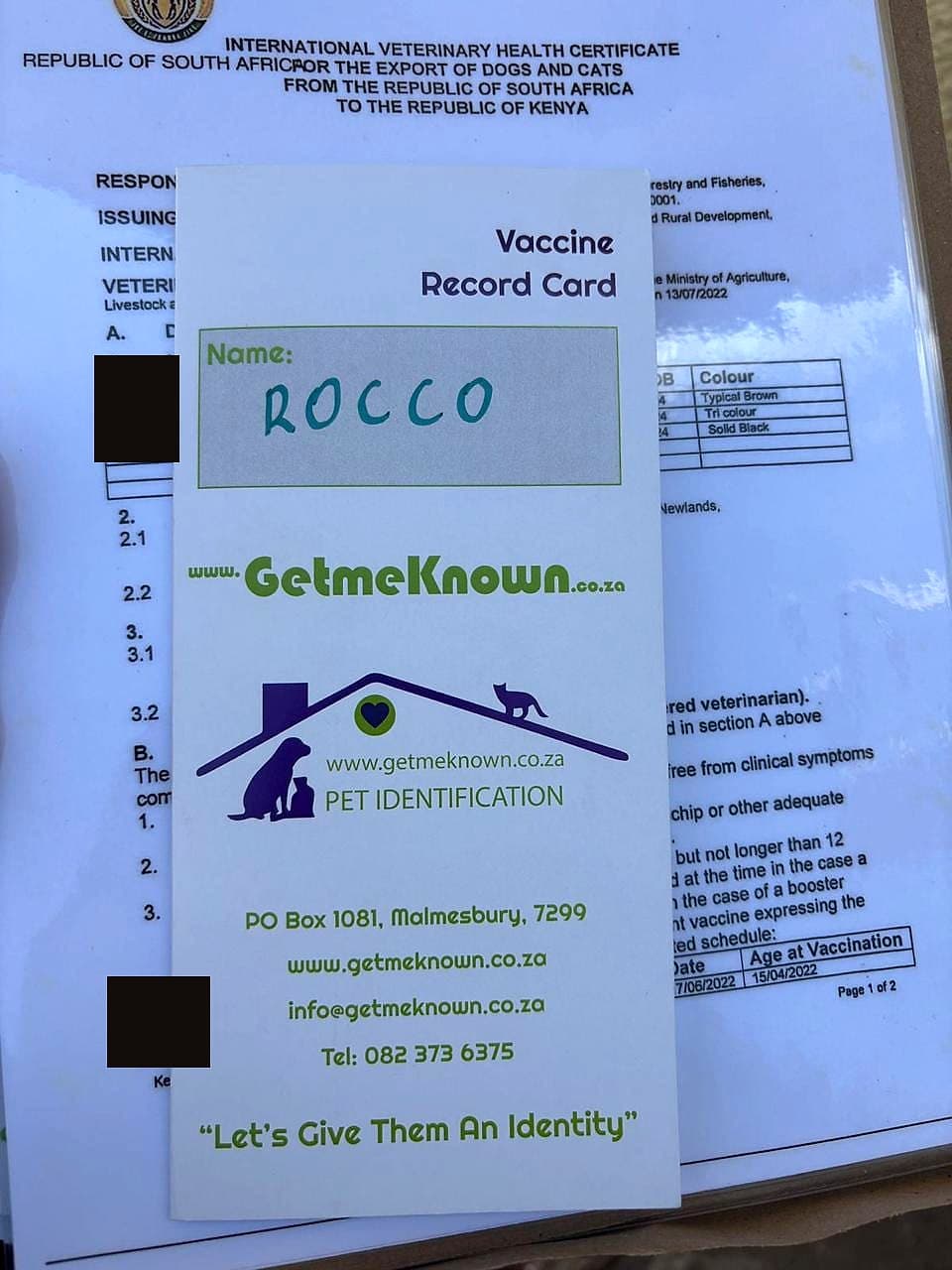 Rocco — Rocco's vaccine record card