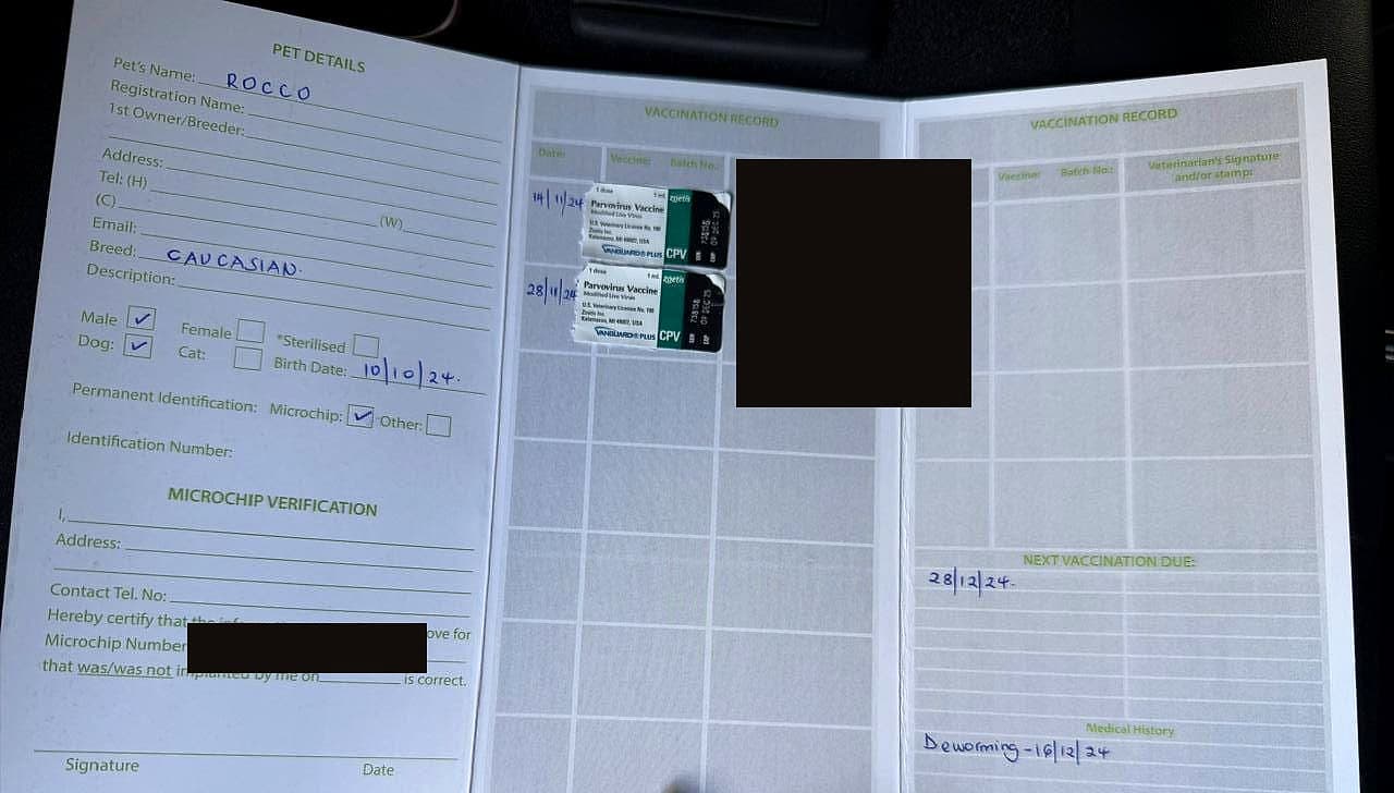 Rocco — Vaccination record — batch stickers and dated entries
